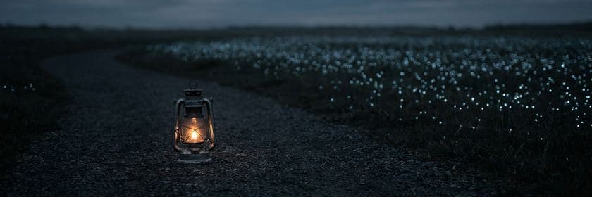 Un farol encendido al borde de un camino de tierra junto a un campo de pequeñas luces